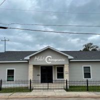 Holistic Chiropractic ico