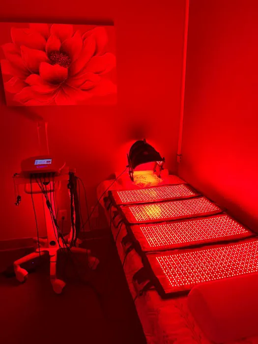 PREMIER HEALTH & WELLNESS - Dr. Suki Chapa DC Picture 5