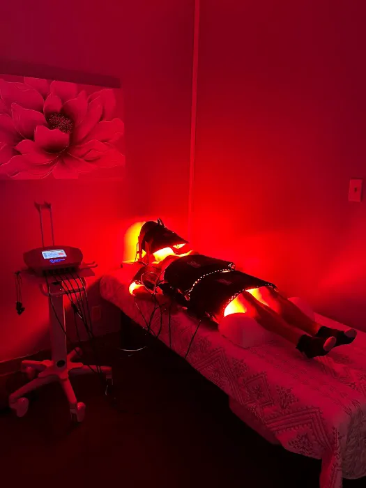 PREMIER HEALTH & WELLNESS - Dr. Suki Chapa DC Picture 4