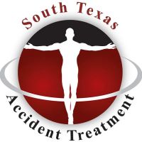 Stelzer Chiropractic ico