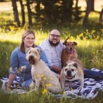 The Nest Chiropractic & Wellness