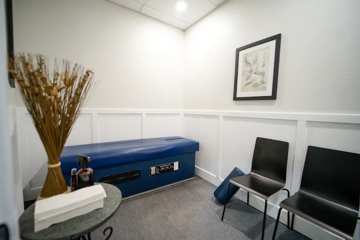 Vanguard Chiropractic Picture 5