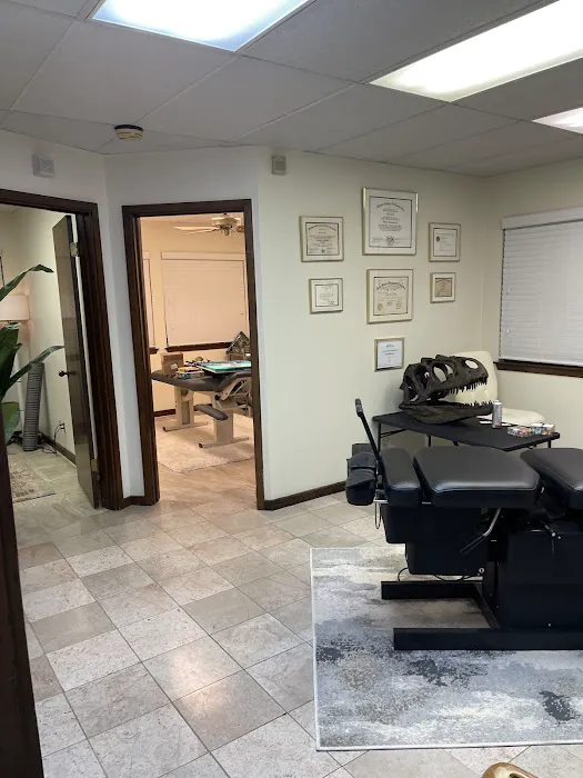 Frisk Chiropractic Picture 1