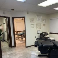 Frisk Chiropractic ico