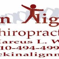 Back In Alignment Chiropractic ico