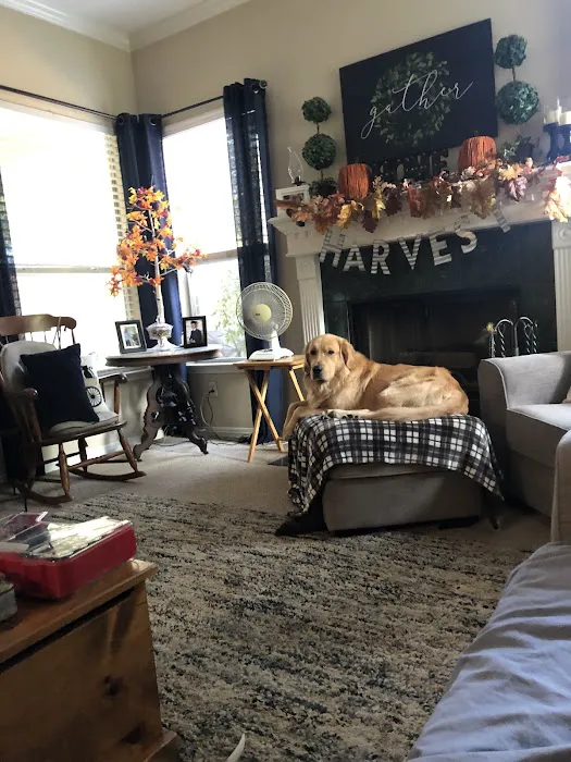 South Texas Chiropractic Picture 6