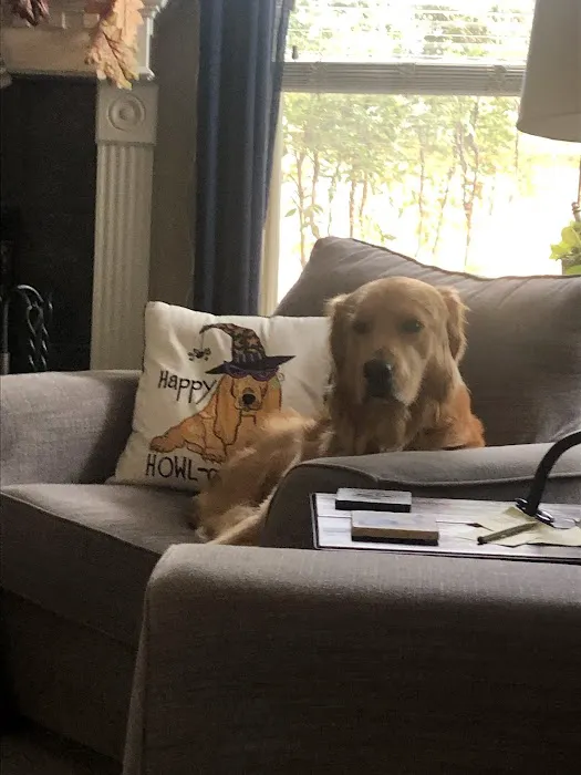 South Texas Chiropractic Picture 10