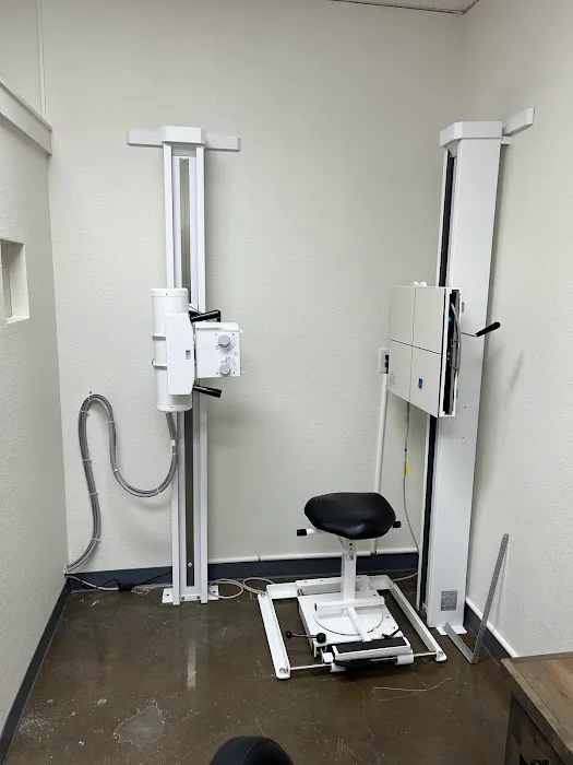 Align Chiropractic and Wellness Picture 7