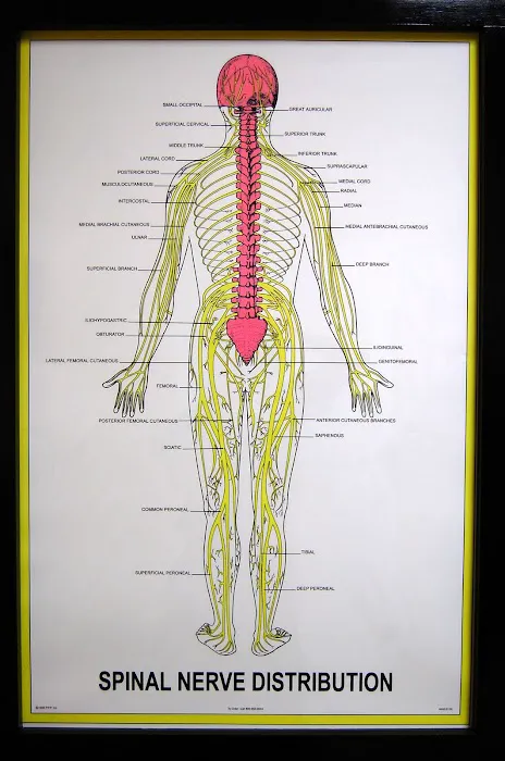 Hastings Chiropractic & Wellness Center Picture 10