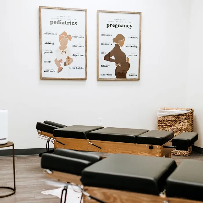 Willow Haus Chiropractic | New Braunfels Pediatric & Pregnancy Chiropractor Picture 6