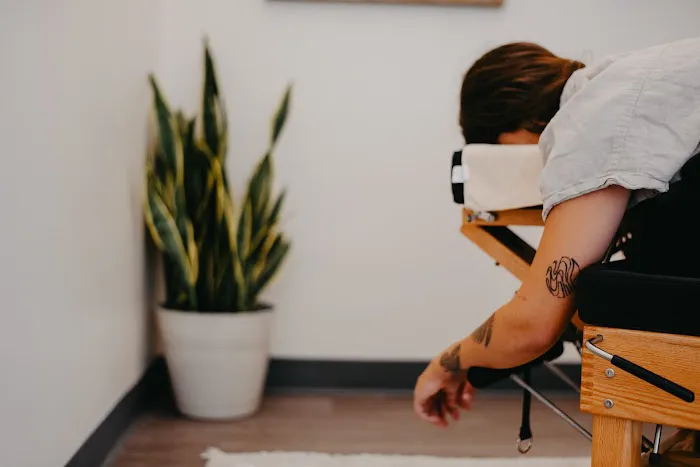 Willow Haus Chiropractic | New Braunfels Pediatric & Pregnancy Chiropractor Picture 7