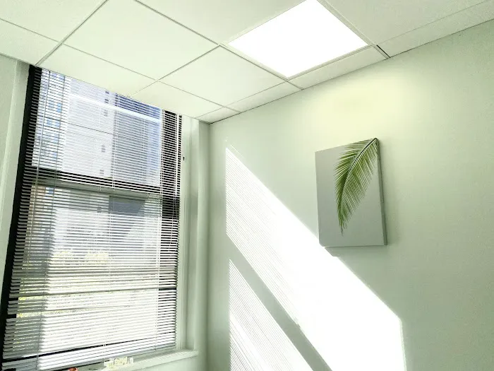 Apex Acupuncture and Chiropractic - Downtown FIDI Picture 3