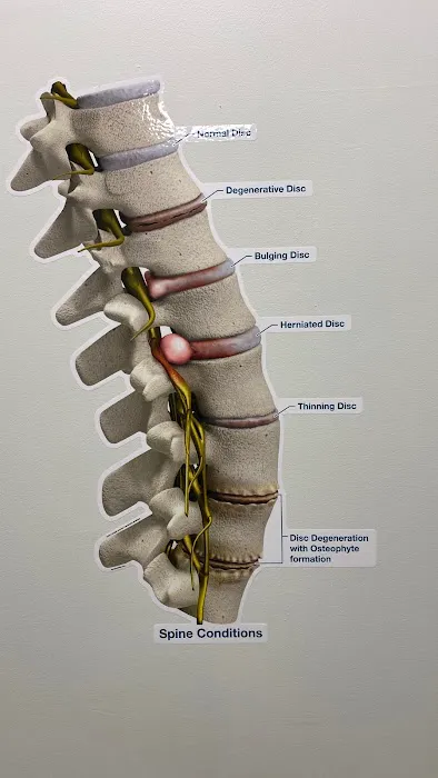 Apex Acupuncture and Chiropractic - Downtown FIDI Picture 8