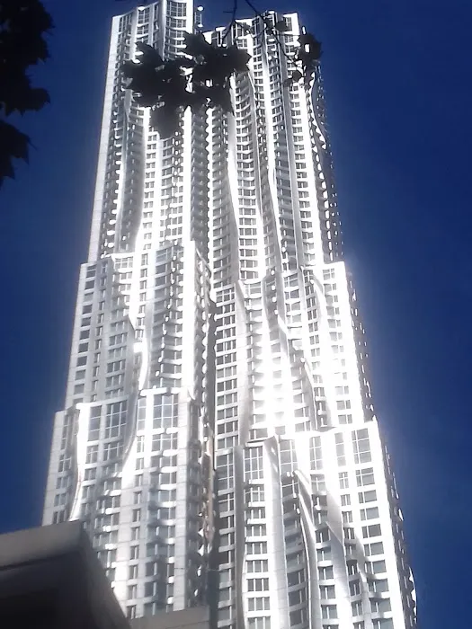 Jason Feinstein, DC | William Street Sports & Spine | Axon Health Associates Picture 9