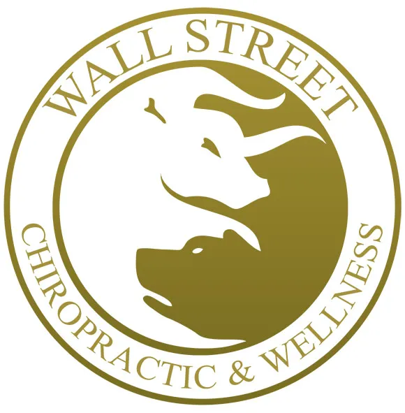 Wall Street Chiropractic and Wellness Picture 6