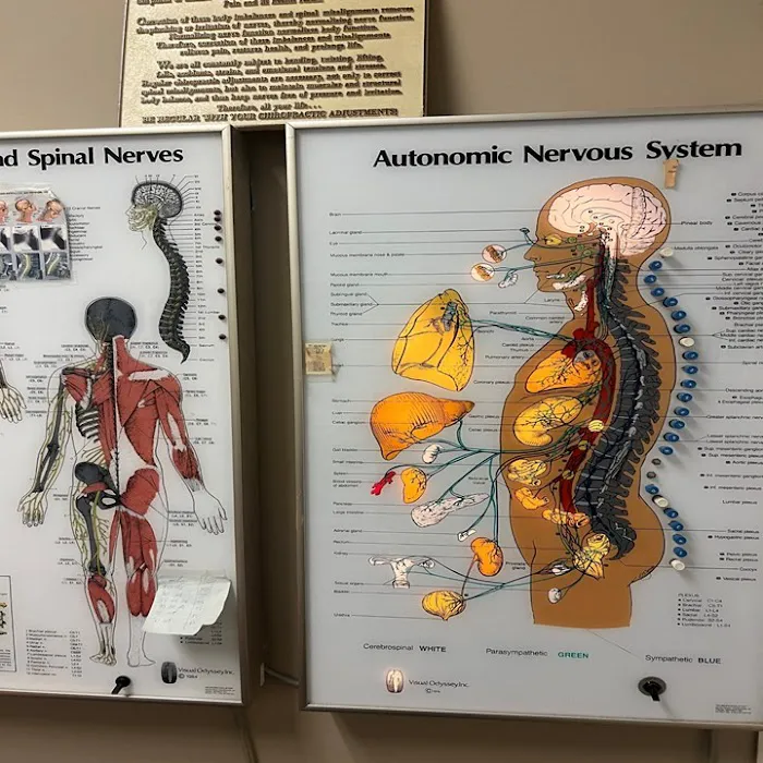 Battery Park City Chiropractic Picture 7