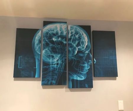Kaplan Brain & Body