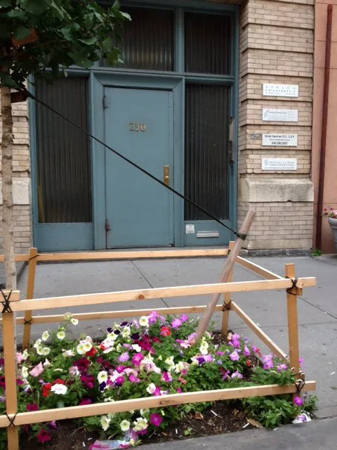 Avalon Chiropractic Picture 3