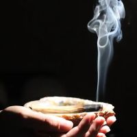 Space For Wellness ico