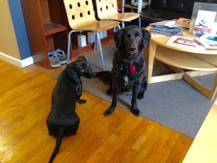 Willen Wellness Picture 6