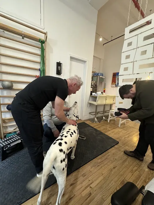 Willen Wellness Picture 5