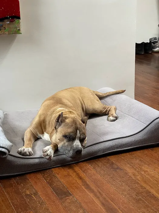 Willen Wellness Picture 7