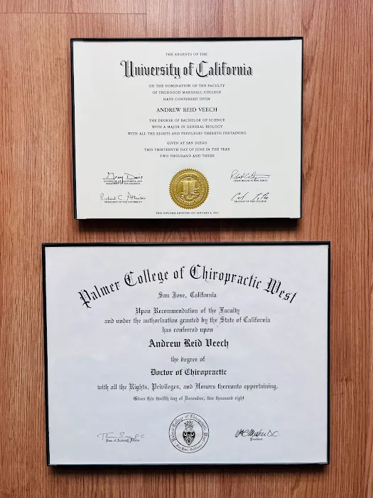 Veech Sports Chiropractic Picture 9