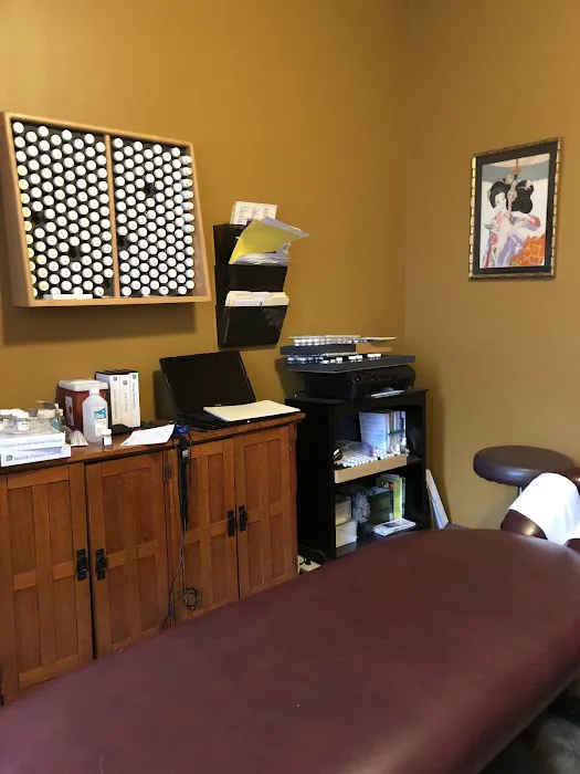 Marisa D'Andrea, D.C, L.Ac Picture 1