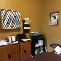 Marisa D'Andrea, D.C, L.Ac ico