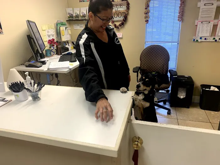 The Art of Chiropractic NYC Picture 10