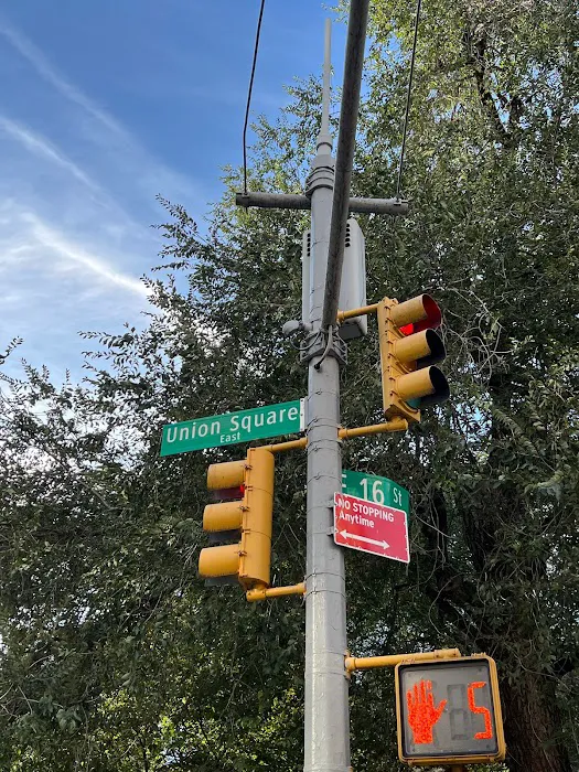 Dr. Monisha Mallik Chiropractor Picture 5