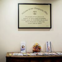 Chelsea Chiropractic and Massage ico