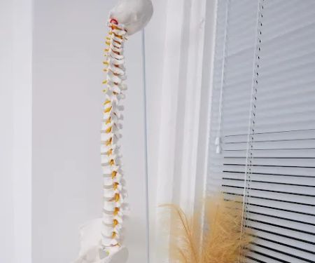 Apex Acupuncture and Chiropractic - Chelsea / Flatiron