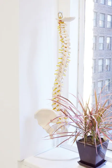 Apex Acupuncture and Chiropractic - Chelsea / Flatiron Picture 10
