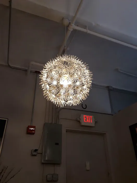 Dr. Isis M. Medina D.C Picture 3