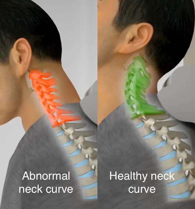 Kang Corrective Chiropractic P.C. Picture 9