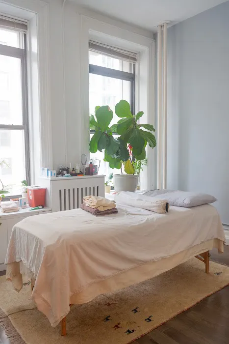 New Roots Chiropractic PLLC - NoMad / Flatiron Picture 1
