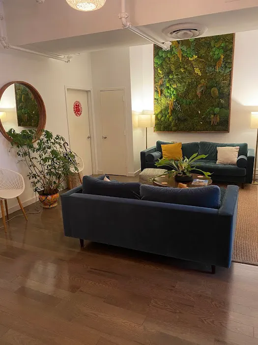 New Roots Chiropractic PLLC - NoMad / Flatiron Picture 4