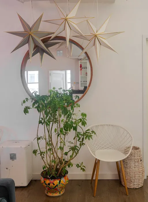 New Roots Chiropractic PLLC - NoMad / Flatiron Picture 9
