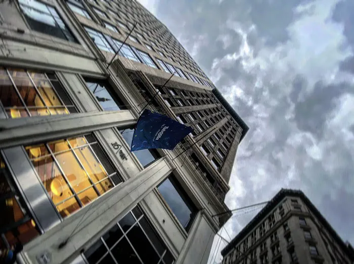 Well Rooted Chiropractic Picture 9