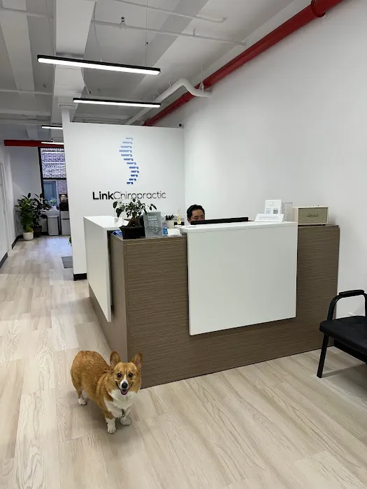 Link Chiropractic Picture 2