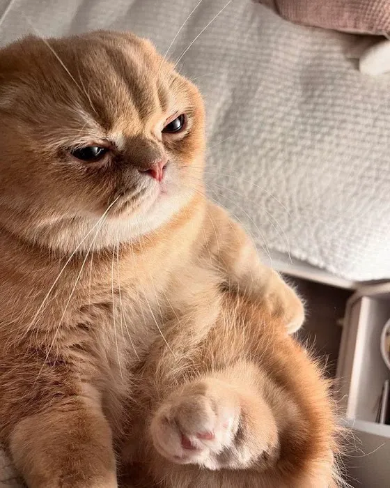 Dr. John W. Phelts, D.C. Picture 5