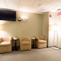 Better Body Solutions ico