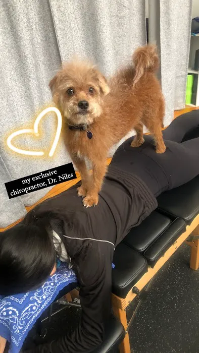 Encore Chiropractic Picture 3