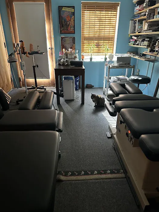 Spiridellis Tom DC Picture 1