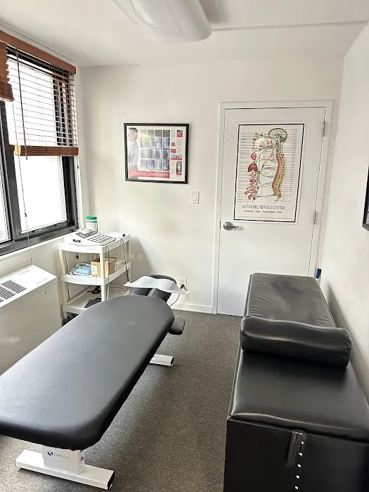 Oasis Chiropractic and Wellness Center Picture 1
