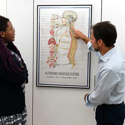 Midtown Chiropractor, Dr. Gregg Rubinstein Picture 2