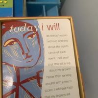 Stekel Chiropractic: Dani Stekel, D.C. ico