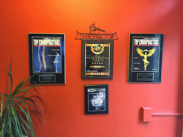 New York Chiropractic Life Center / Disc Centers of America New York City Picture 3