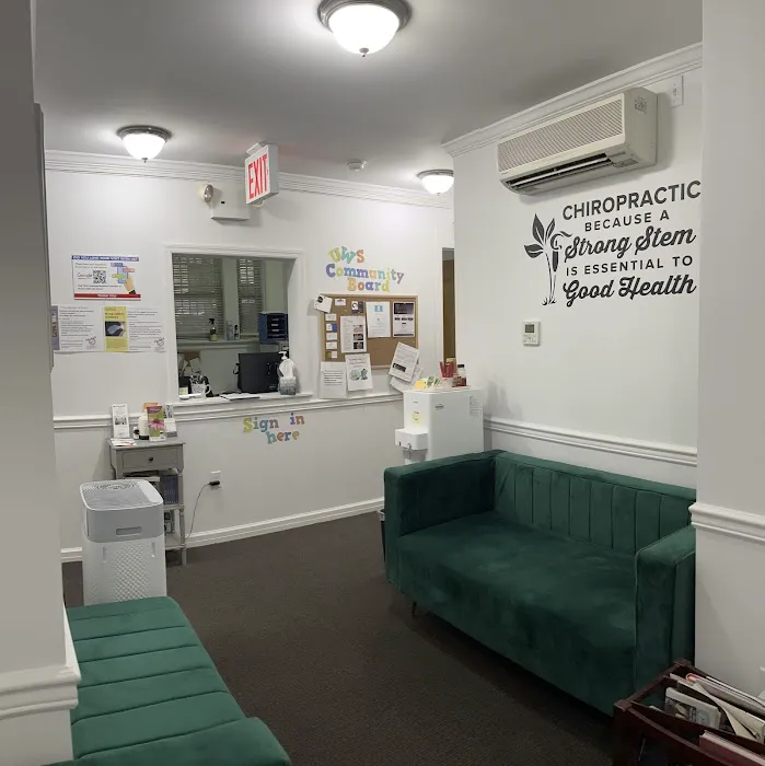 Begin Chiropractic P.C. Picture 2